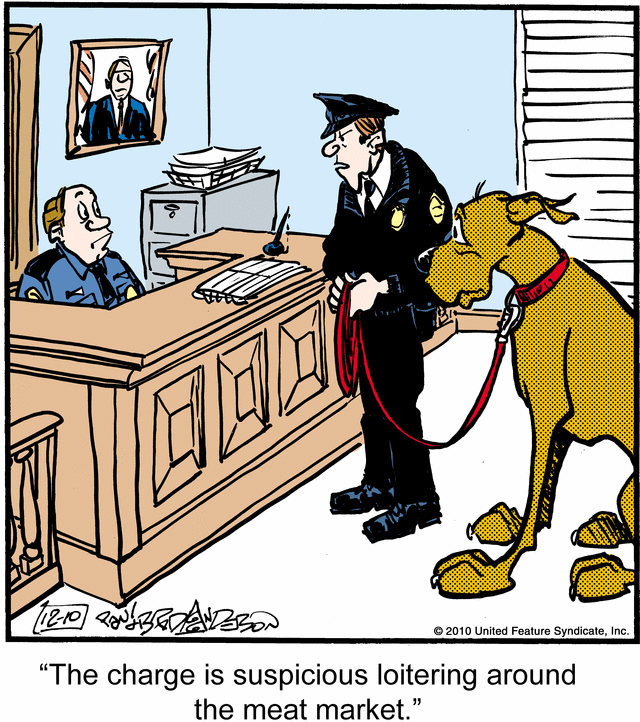 marmaduke